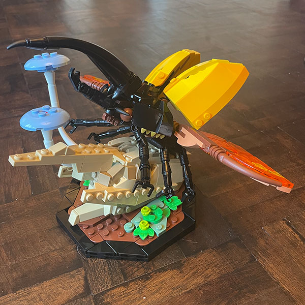 Competition entry example