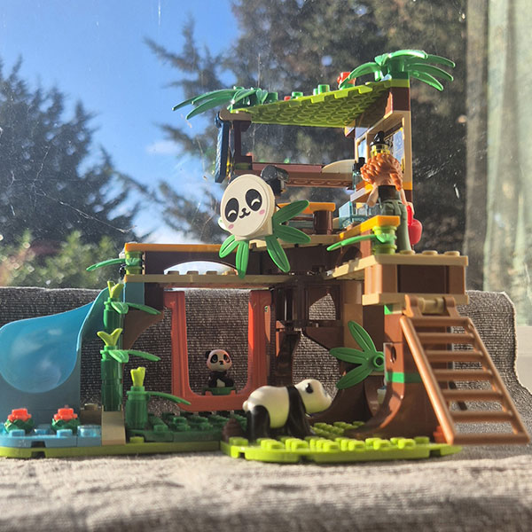 Competition entry example