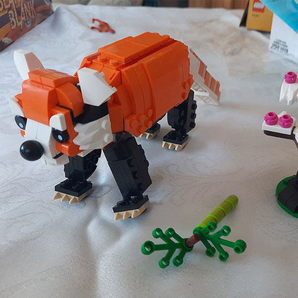 Competition entry example