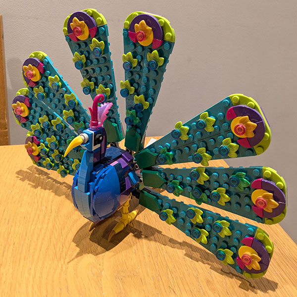 Competition entry example